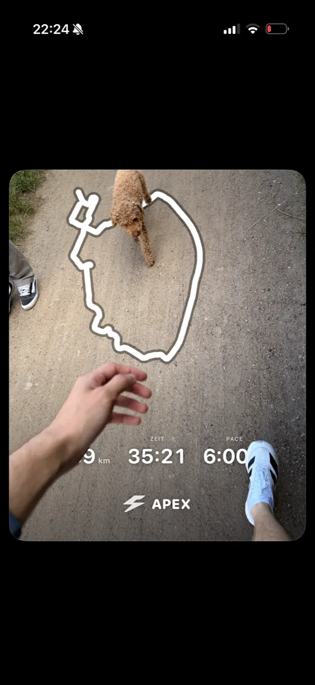 The Share Studio export screen with save-to-Photos and share options.